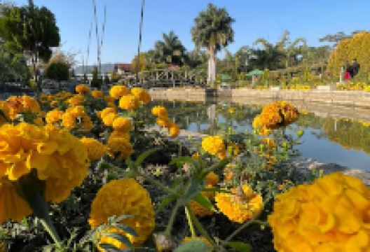 Matai Garden景点图片