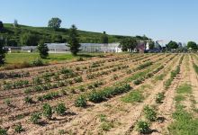 Heike Franck-Jäger & Christian Jäger购物图片