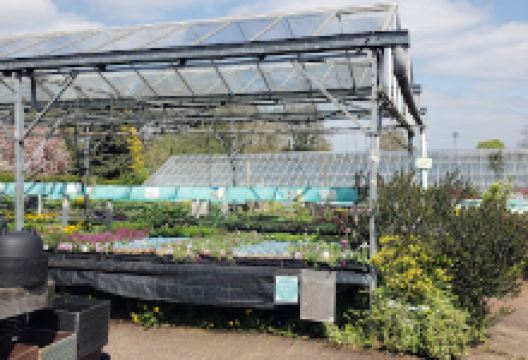 Westholme Nurseries购物图片