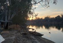 Barmah National Park景点图片