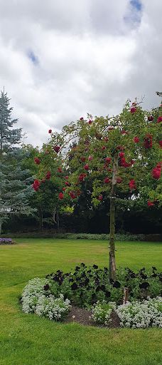 Gore Public Gardens-戈尔