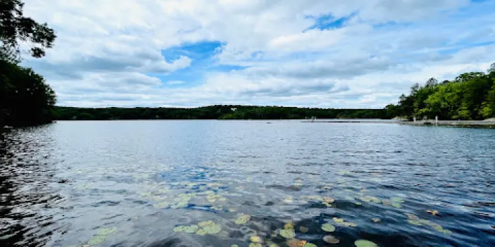 Pachaug State Forest