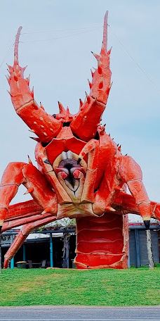 石灰岩海岸-Woolumbool