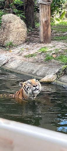 Seal and Penguin Park-宋卡