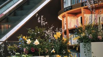星空圖書館