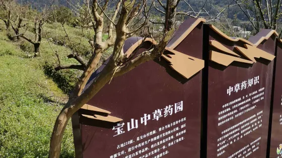寶山中草葯園