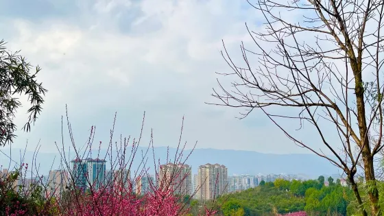 達州市大寨子公園