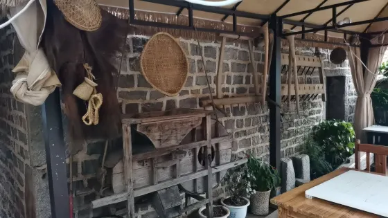 魯礎營回族鄉清水河村馬保樹峽谷
