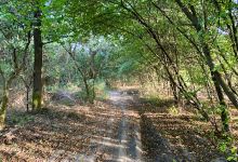 IJzenbeekbos, Natuurpunt Asse景点图片