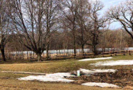 Cleary Lake Beach景点图片