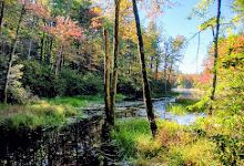 Florence M. Tarr Wildlife Sanctuary景点图片