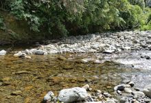 Waikawa Stream Picnic Area景点图片