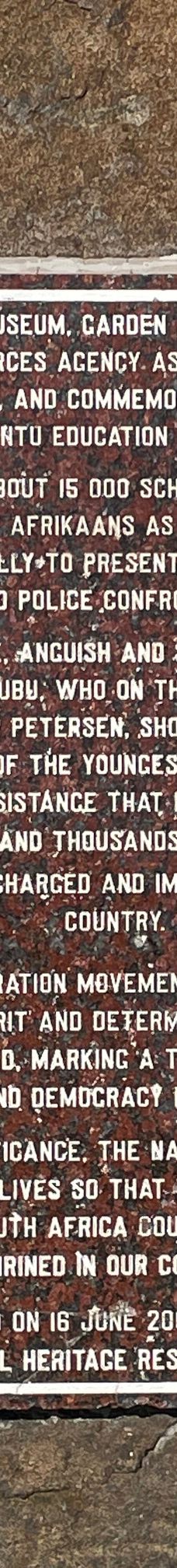 海克特‧彼特森博物馆-索韦托