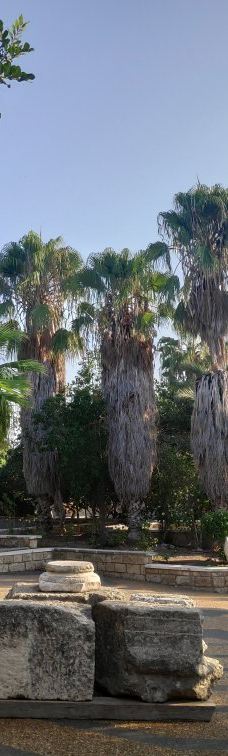 Zappa Amphi Shuni-Binyamina-Giv'at Ada