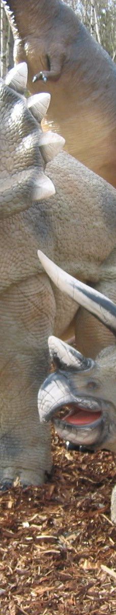 Öland Zoo and Amusement Park-默尔比隆阿