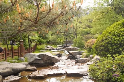 Yeouido Park