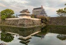 大分城址公园・府内城迹景点图片