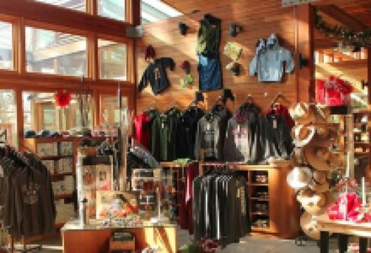 Bernheim Arboretum & Forest景点图片