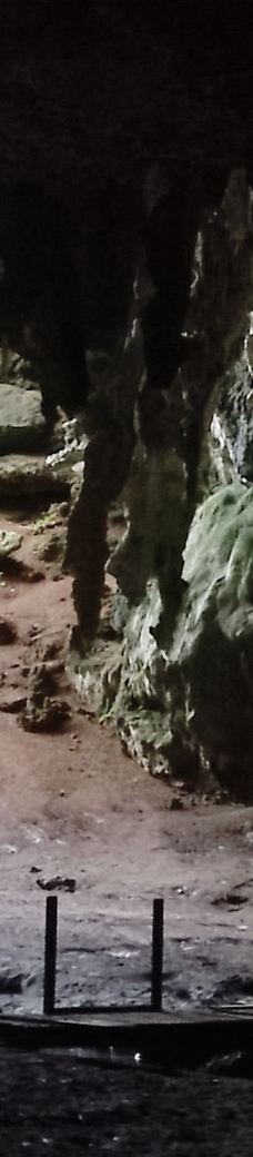 Grotte de Hortense-松树岛