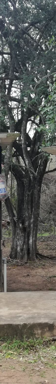 Bonamanzi Game Reserve-赫卢赫卢韦