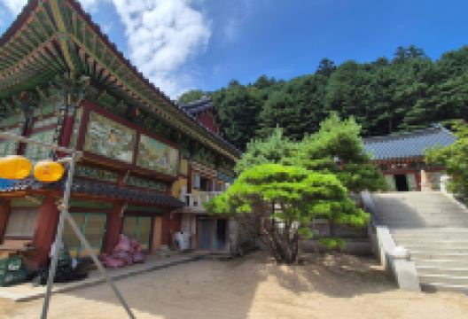 参议院寺景点图片