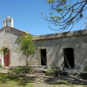 新帕尔米拉图片