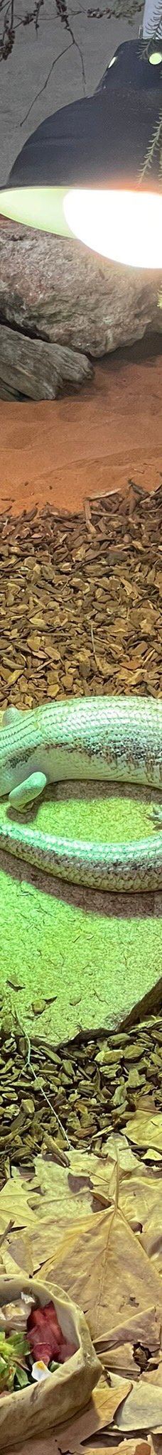 Bunbury Wildlife Park-South Bunbury