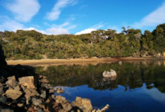 Ulva Island景点图片