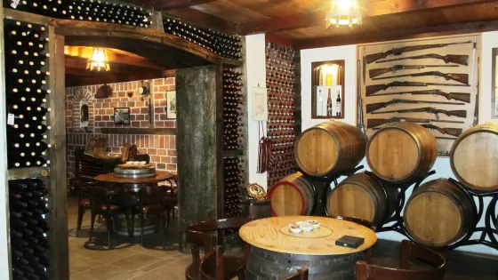 Wine tasting - Winery Masanovic