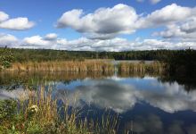 Amherst Point Bird Sanctuary景点图片