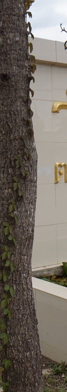 Wat Intharam-安帕瓦