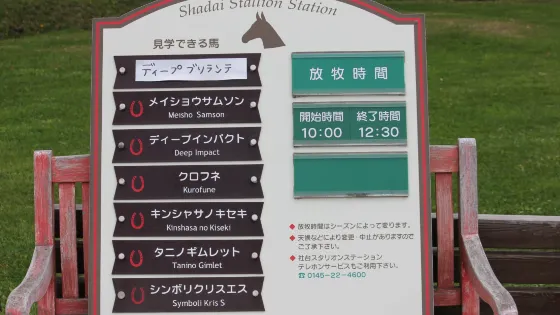 Shadai Stallion Station