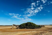 Greenough Wildlife Park景点图片