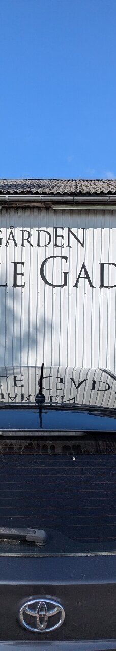 Vingaarden, Lille Gadegaard ( Vineyard )-阿克尔科拜