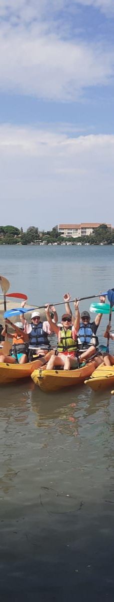 Domaine de la Palissade-阿尔勒