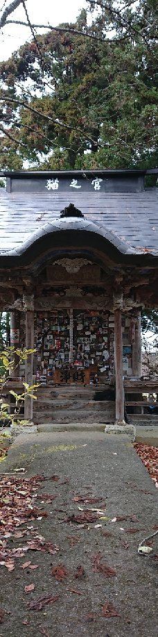 Cat's Shrine-高畠町
