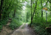 Römerweg景点图片