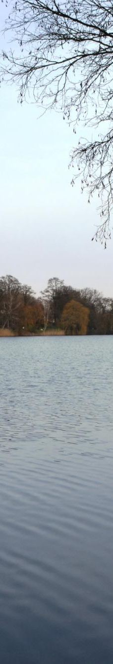 Lac de Creutzwald-柯哲斯瓦尔德拉克鲁瓦