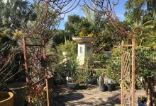 Valkaria Gardens景点图片