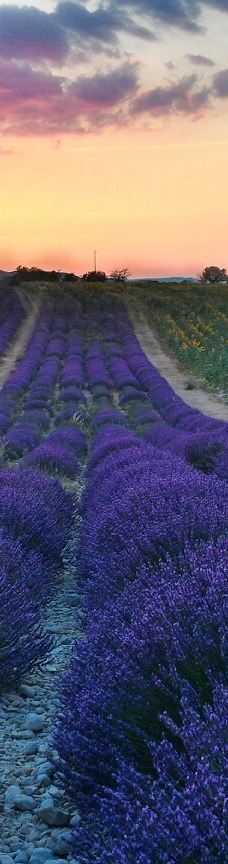 瓦朗索尔高原-瓦朗索勒