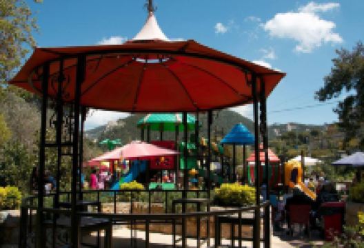 JD's Garden景点图片