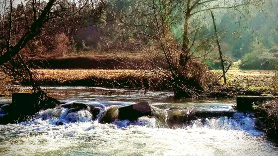 Ponte de Vilela