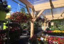 Kiriel Renaison购物图片