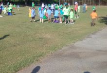 Stephens Park景点图片