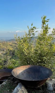 RDC Nature Farm and Campsite-圣琼斯