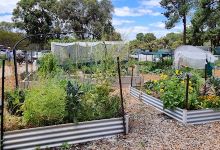 Piney Lakes Community Garden景点图片