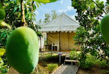 Aamrai Farm Retreats景点图片