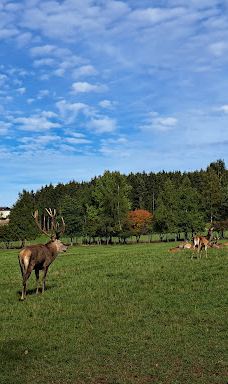 Wildgehege Meßstetten-佐勒纳尔布县