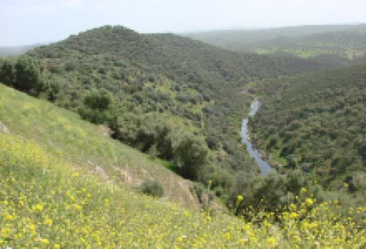 Estação da Biodiversidade de Noudar景点图片