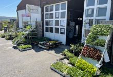 Agrocentar AgroNada购物图片